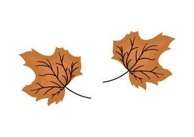 illustratie van bruine bladeren met herfstthema 7 vector