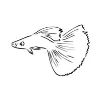 aquariumvissen vector schets
