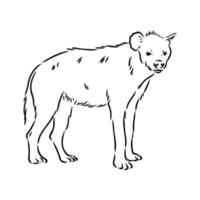 hyena vector schets