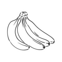 banaan vector schets