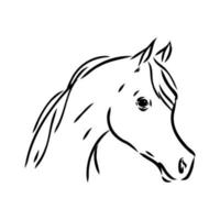 Arabische paard vector schets