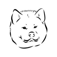 akita inu hond vector schets