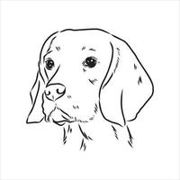 beagle hond vector schets