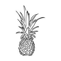 ananas vector schets
