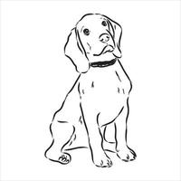 beagle hond vector schets