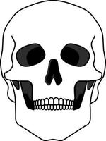 schedel bot gezicht. schedel pictogram. zwart-wit cartoon lachende schattig menselijk skelet hoofd, getekende eenvoudige ghost front vectorillustratie. vector