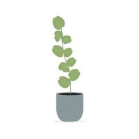 eucalyptus takken en bladeren in een pot. vector geïsoleerd op een witte achtergrond.