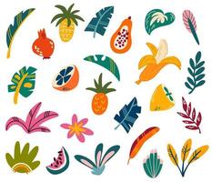 tropisch fruit en bladeren. exotische zoete vruchten en palmbladeren collectie. perfect voor afdrukken, ansichtkaarten, prenten en posters. vector cartoon illustratie