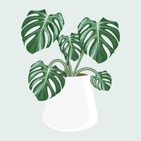 monstera op pot vectorontwerp. vector