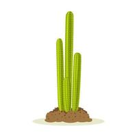 cactusplanten in de woestijn tussen zand en grond, bodem. vector ontwerp