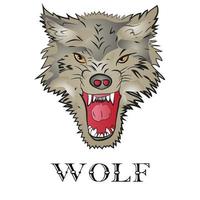 wolf logo teken vector