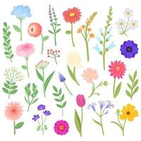 set van Lentebloemen en planten. vector illustratie