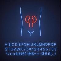 gezonde nieren neon licht icoon. menselijk orgaan in goede gezondheid. gezond urinestelsel. gloeiend bord met alfabet, cijfers en symbolen. vector geïsoleerde illustratie