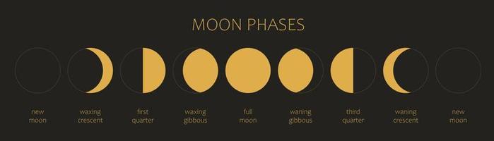 de maan, maanstanden op een zwarte achtergrond. de hele cyclus van nieuwe maan tot volle maan. astronomie en maankalender vectorillustratie vector