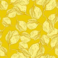 naadloze patroon gegraveerd citroen op tak met bladeren. vintage achtergrond limoen groeien op takje in de hand getekende stijl. vector
