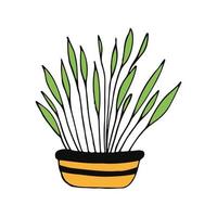 kamerplant in een pot pictogram hand getrokken. , minimalisme, scandinavisch, doodle, spotprent. sticker spathiphyllum plant bloem vector