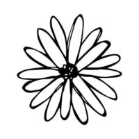 vector eenvoudige bloem doodle clipart. hand getekende bloemen illustratie geïsoleerd op een witte achtergrond. voor print, web, ontwerp, decor, logo.