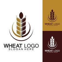 landbouw tarwe logo sjabloon vector pictogram ontwerp