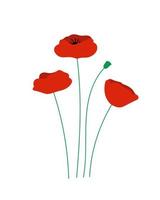 rode papaver weide bloemen. platte vectorillustratie. vector