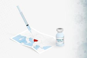 bosnië en herzegovina vaccinatie, injectie met covid-19 vaccin op de kaart van bosnië en herzegovina. vector