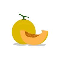 gele verse meloen fruit vector