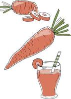 kleurrijke wortelen en wortelsap in doodle stijl, geïsoleerd op een witte achtergrond. vector illustratie