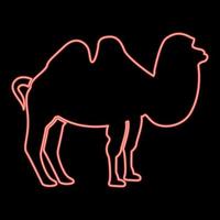 neon kameel rode kleur vector illustratie vlakke stijl afbeelding