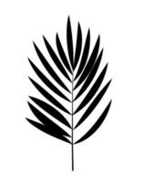 palmblad zwarte silhouet vectorillustratie vector