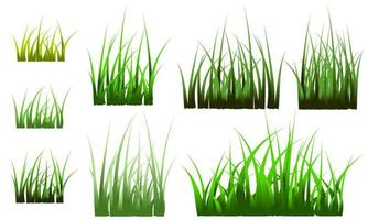 gazon, groene grasachtergrond, gras geïsoleerde vector gratis
