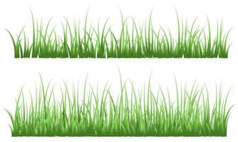 gras, realistisch gras vector