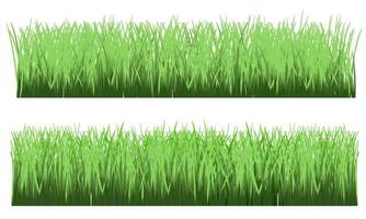 groen gras, weide, realistisch gras. met gras begroeide achtergrond vector