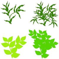 groene struik silhouet vector, gebladerte kruid vector