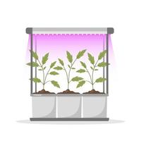 lente zaailingen in potten onder phyto lamp. groeiende tuinplanten met paars licht. vegetarische en ecologische producten. vectorillustratie in platte cartoon-stijl. plantenverzorgingsconcept vector