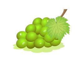 illustratie van witte zoete druiven. vers fruit, 3D-vector icon vector