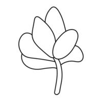 hand getekende schattig sappig in stijl doodle. grafische schets huis bloem crassula. vectorillustratie, geïsoleerde elementen op een witte achtergrond vector