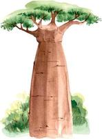 Afrikaanse baobabboom in de natuur, aquarel close-up illustratie