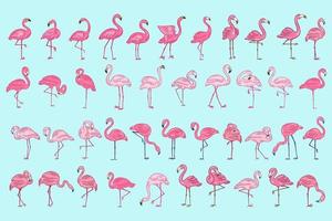 set enorme collectie bundel van schattige flamingo roze vogel flamingo's esthetische tropische exotische handgetekende vlakke stijl collectie vector