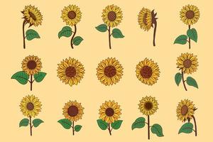 set enorme collectie bundel zonnebloem zomer bloemen natuur plant esthetiek handgetekende romantische illustratie vector