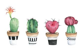 set van ingemaakte cactussen. aquarel illustratie. vector