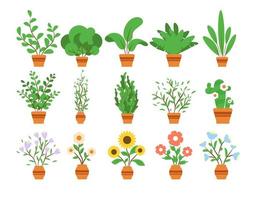 mooie kamerplanten in potten. decoratieve planten vector