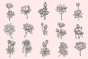 set van collectie bundel hand getrokken bloem lotus bladeren naturals geïsoleerde sticker zwarte botanische lijn kunst illustratie vector