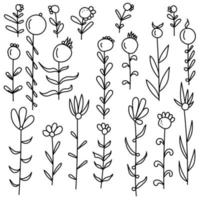 doodle set bloemen met bladeren en afgeronde bessen, om kaders, ontwerpuitnodigingen of plakboeken te maken vector