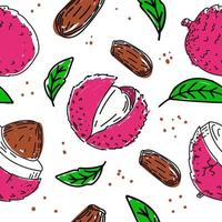 naadloze tekening van een exotische lychee-vrucht, bladeren en zaden, met de hand getekend in schetsstijl. litchi. fruit en bladeren. fruit. eenvoudige vectorillustratie vector