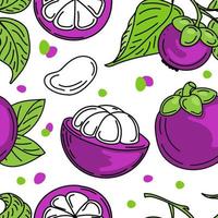 een naadloos patroon van heldere mangosteenvruchten en bladeren, handgetekende schetsen met doodle-elementen. Exotisch fruit. Thailand. vector illustratie