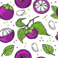een naadloos patroon van kleurrijk mangosteenfruit, vruchtvlees en bladeren, handgetekende schetsen met doodle-elementen. Exotisch fruit. Thailand. vector illustratie