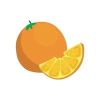vectorillustratie van sinaasappel vector