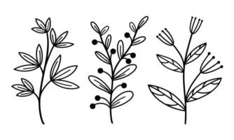 set van vectorelementen van takken met bladeren en kruiden. handgetekende planten. vintage botanische illustraties met bessen en bloeiwijzen. geïsoleerde zwarte omtrek, doodle. vector