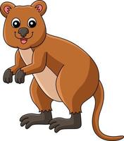 quokka dier cartoon gekleurde clipart illustratie vector