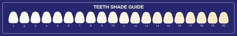 tanden whitening shade guide, tandheelkundige kleurenkaart. platte illustratie vector