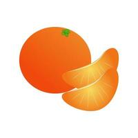 een mandarijnpictogram, voedselillustratie vector